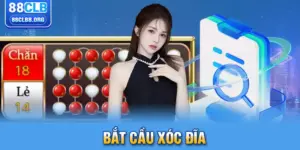 Bắt cầu xóc đĩa