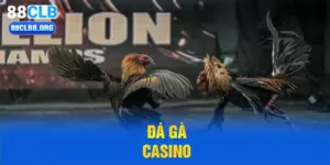 Đá gà casino