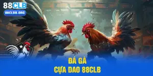 đá gà cựa dao