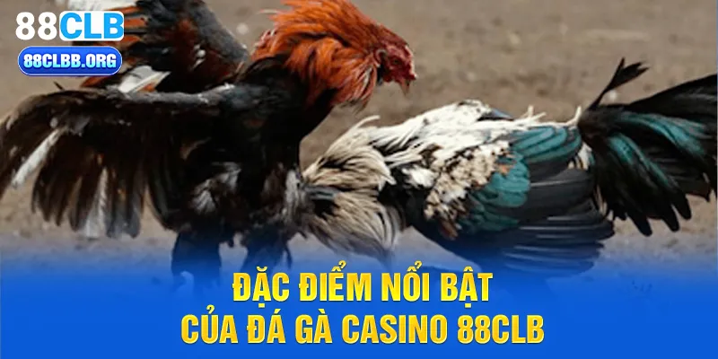 Đặc điểm nổi bật của đá gà casino 88CLB