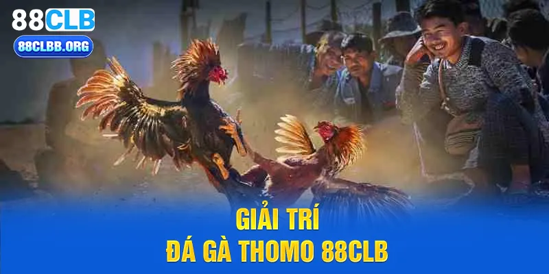 đá gà thomo