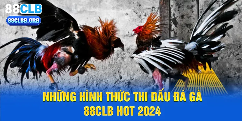 Những hình thức thi đấu đá gà 88CLB hot 2024