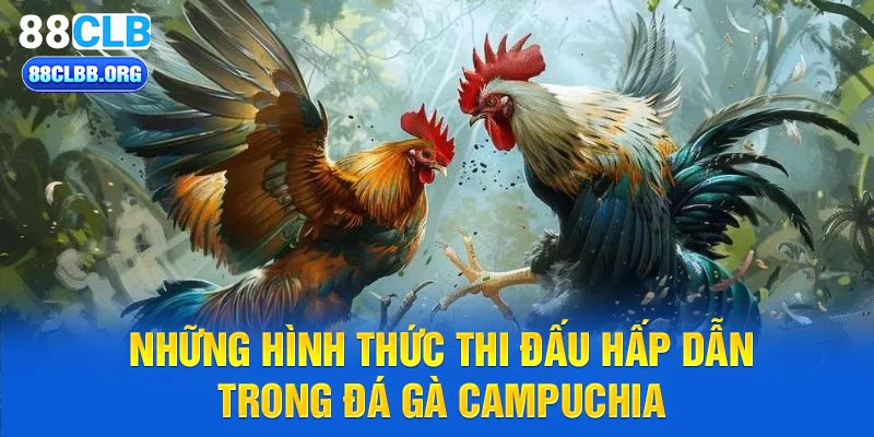 Những hình thức thi đấu hấp dẫn trong đá gà Campuchia