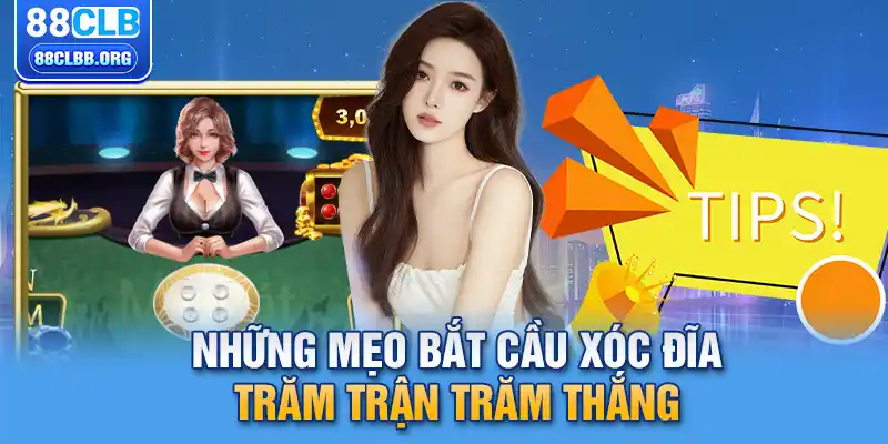 Những mẹo bắt cầu xóc đĩa trăm trận trăm thắng